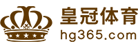 Logo 懂球帝体育